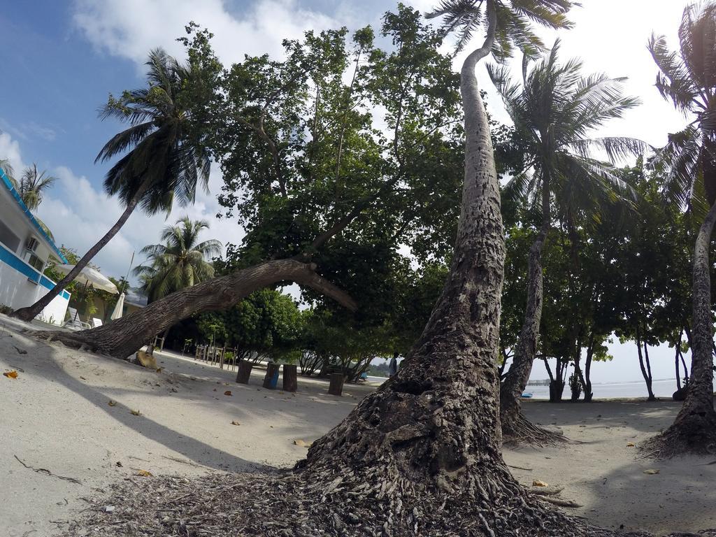 Rip Tide Vacation Inn, K.Guraidhoo Exterior photo